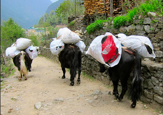 Screen Shot 2014-12-11 at 12.09.01 PM