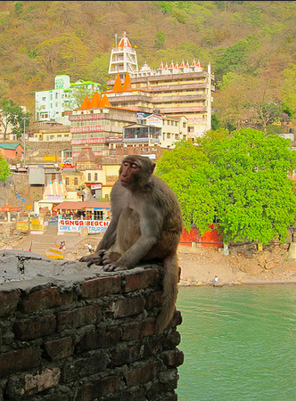 Screen Shot 2014-12-15 at 6.09.28 AM