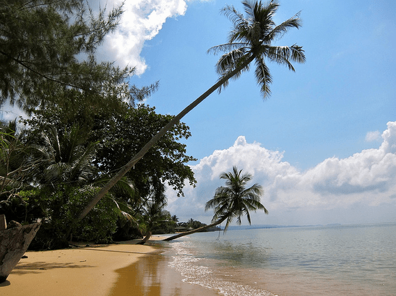 Screen Shot 2014-12-16 at 8.51.51 PM