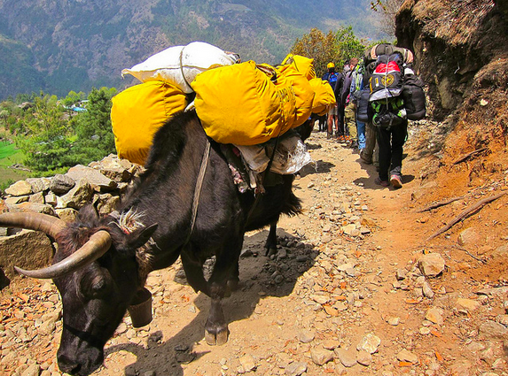 Screen Shot 2014-12-13 at 8.51.28 AM