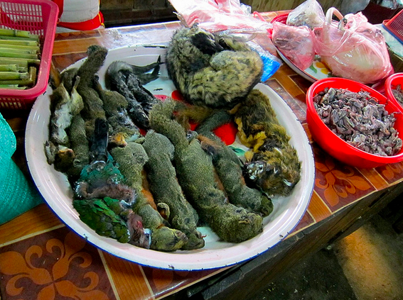 Screen Shot 2014-12-16 at 7.19.02 AM