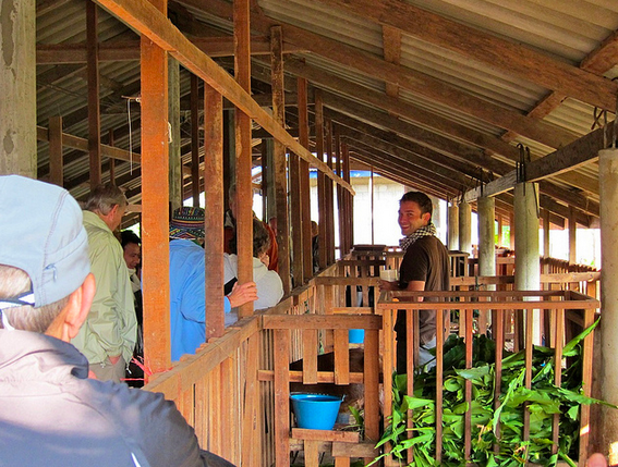 Screen Shot 2014-12-16 at 7.03.08 AM