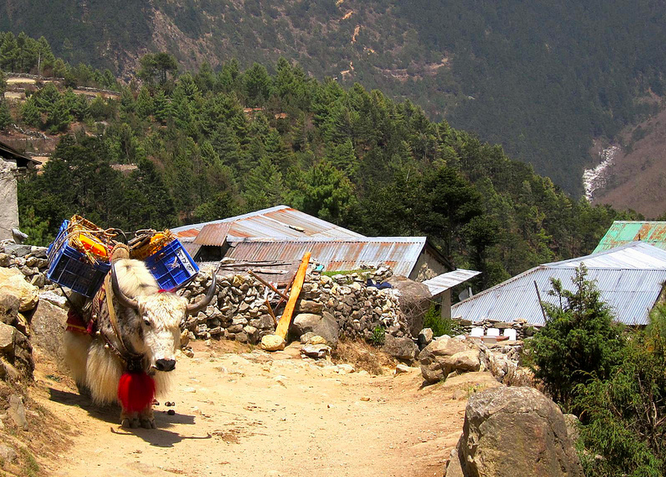 Screen Shot 2014-12-13 at 9.25.13 AM