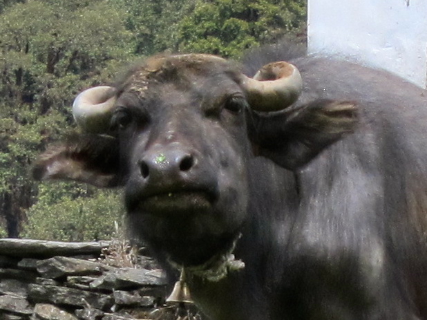 IMG_1932 - Version 2