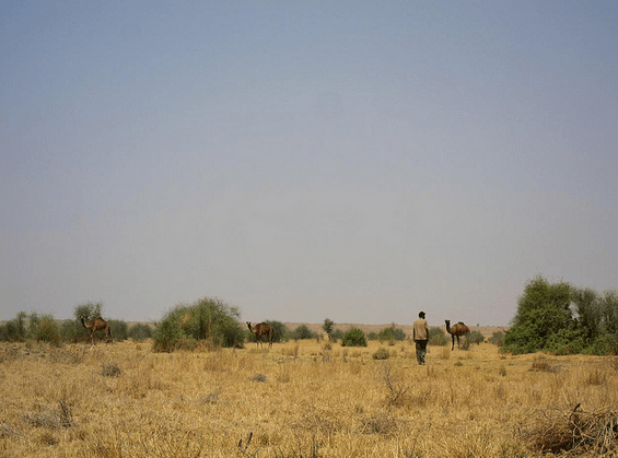 Screen Shot 2014-12-17 at 8.24.44 PM