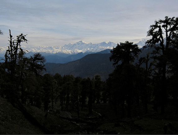 Screen Shot 2014-12-14 at 9.26.25 AM