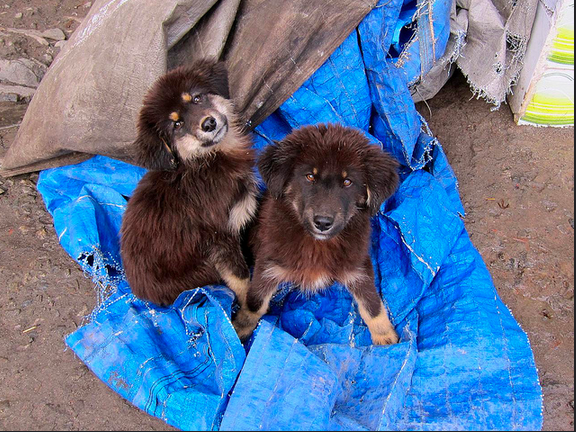 Screen Shot 2014-12-14 at 9.28.11 AM