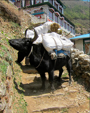 Screen Shot 2014-12-13 at 9.16.57 AM