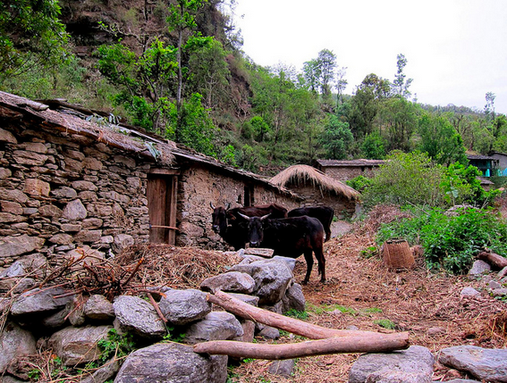 Screen Shot 2014-12-14 at 9.15.11 AM