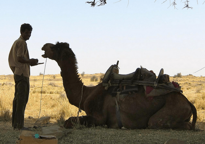 Screen Shot 2014-12-17 at 8.26.13 PM