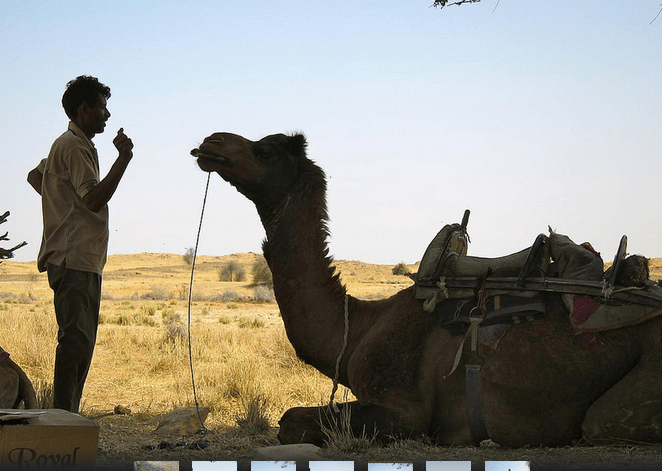 Screen Shot 2014-12-17 at 8.26.38 PM