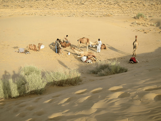 Screen Shot 2014-12-17 at 8.28.13 PM