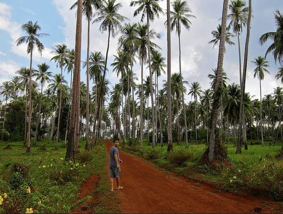 Screen Shot 2014-12-16 at 9.00.20 PM